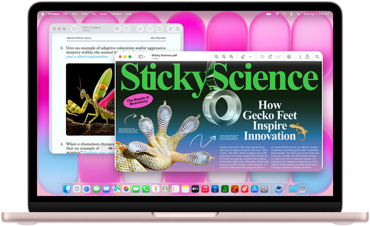 MacBook Neo, Farbe Rosa, der Bildschirm zeigt einen Artikel über Biomimikry und ein Quiz zu einem ähnlichen Thema